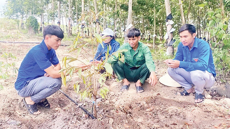 Giúp đồng bào dân tộc thiểu số vươn lên thoát nghèo