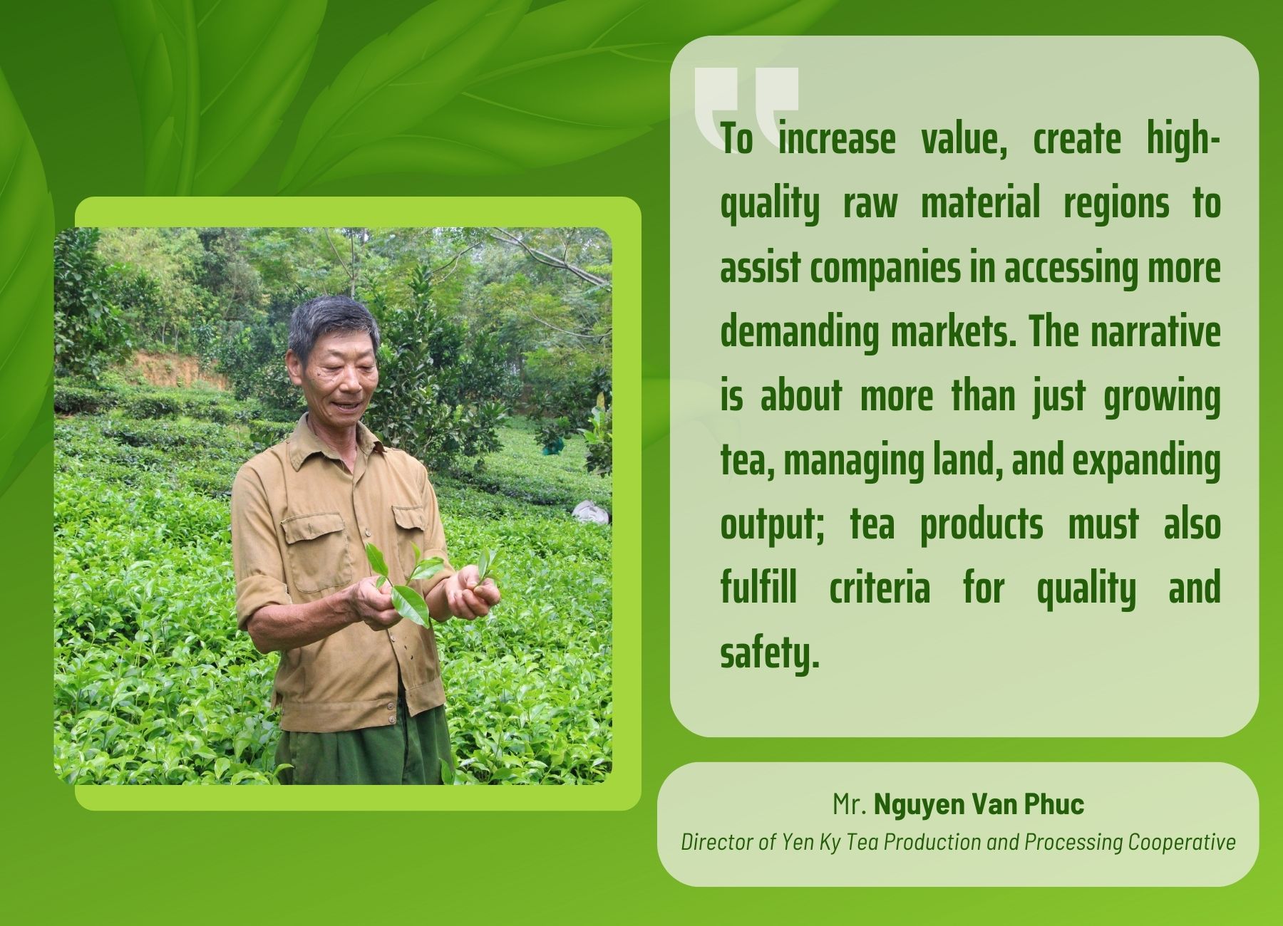 Develop Phu Tho’s tea brand