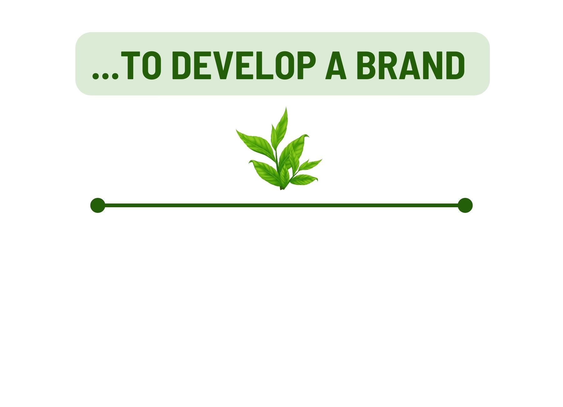 Develop Phu Tho’s tea brand