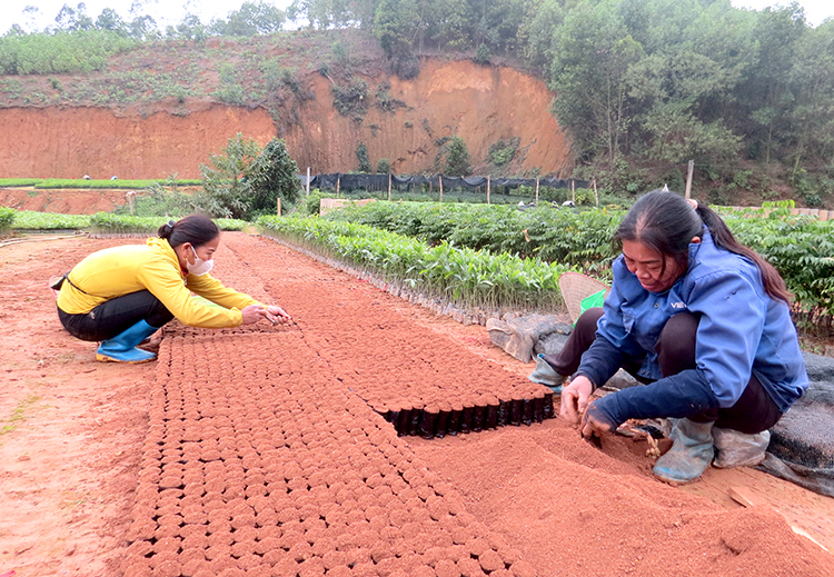 Trạm Thản giải quyết việc làm, nâng cao thu nhập cho lao động nông thôn