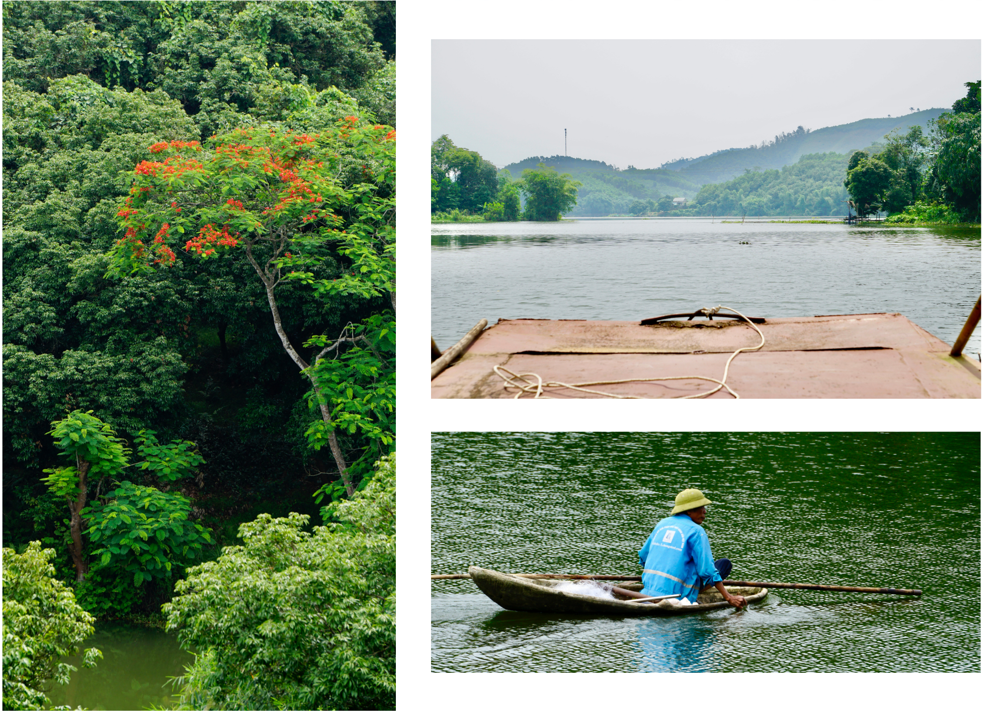 Ao Chau Lagoon - Green pearl of the Motherland