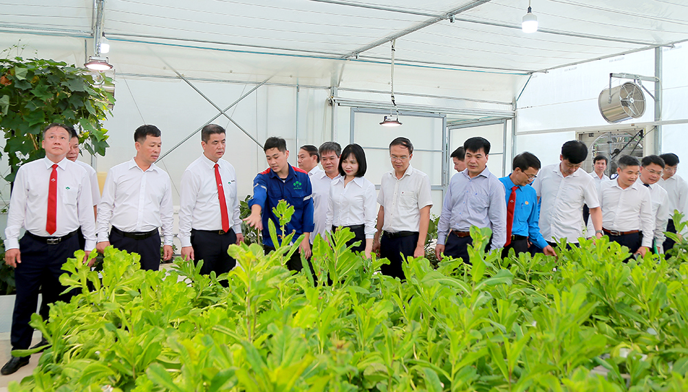 Gắn biển khánh thành công trình kỷ niệm 55 năm Ngày truyền thống ngành Hóa chất Việt Nam