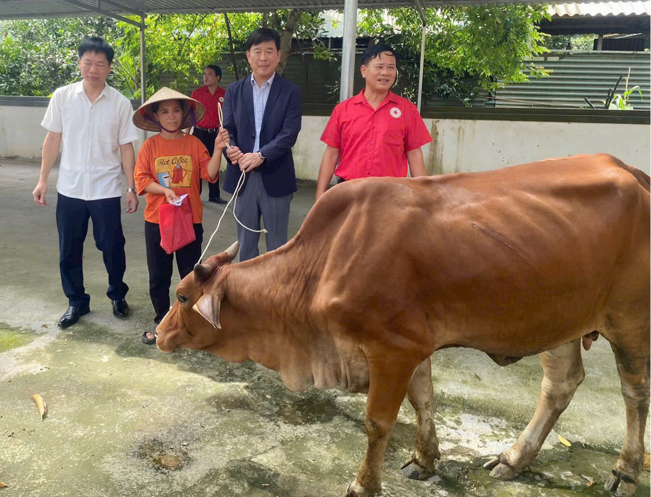 Trao bò sinh sản cho các hộ có hoàn cảnh khó khăn