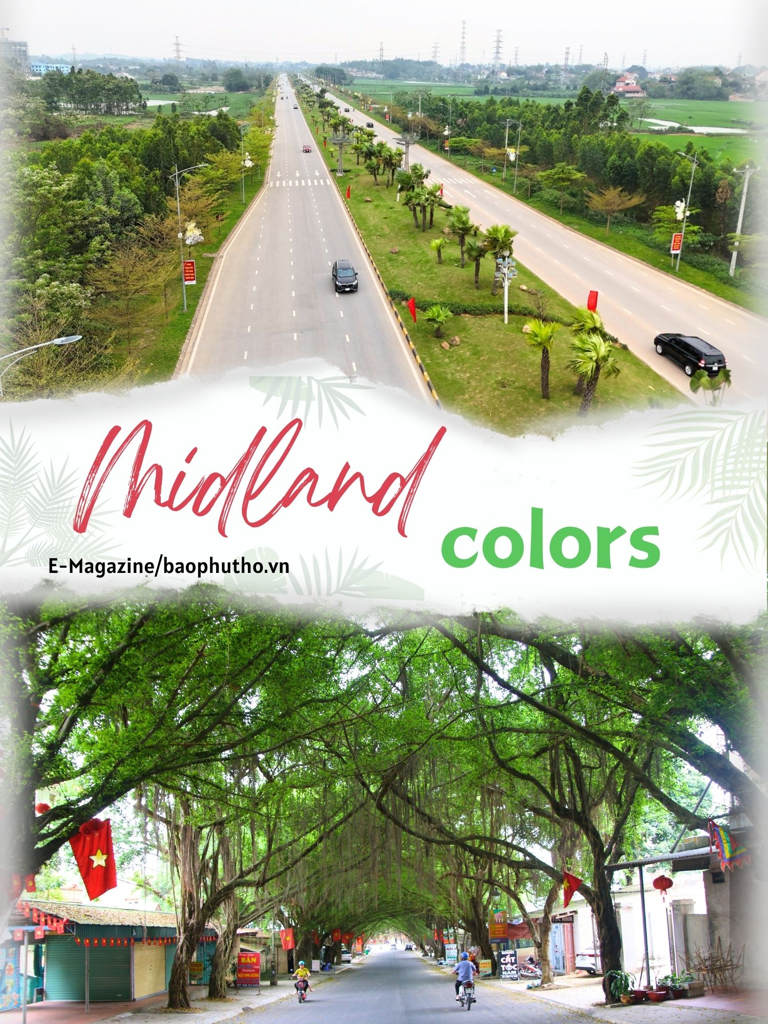 Midland Colors