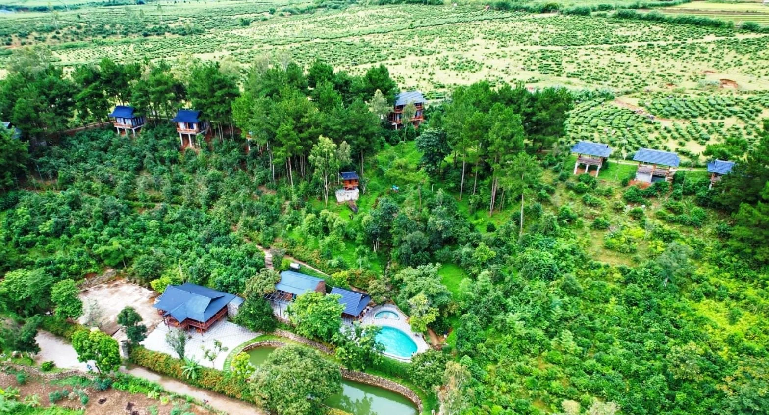 “Thiên đường nghỉ dưỡng” ở xứ chè