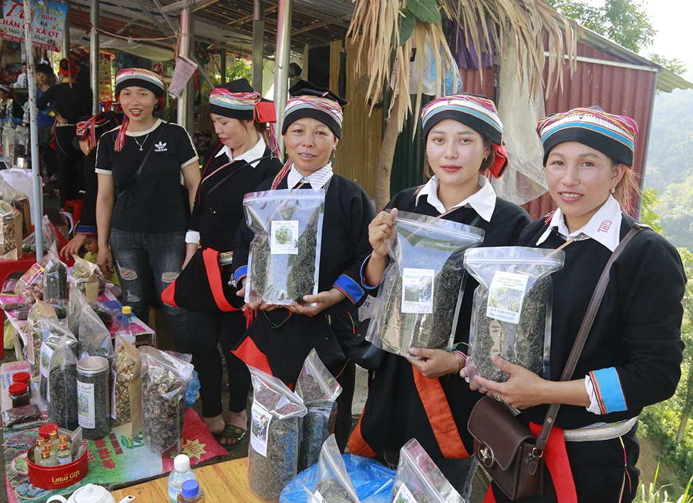 Màu xanh trên đá núi