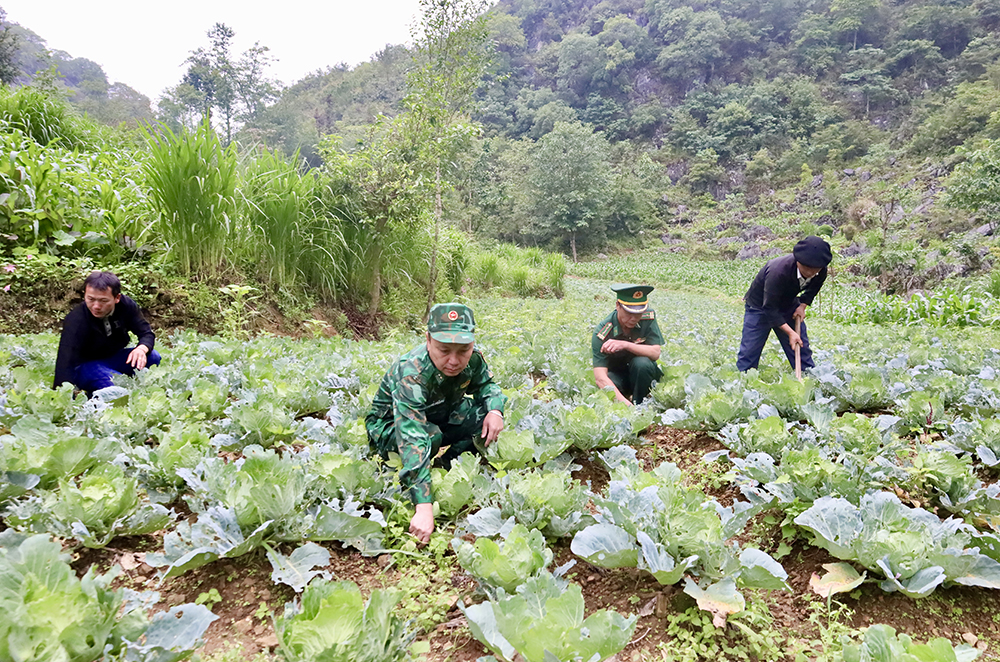 Kỳ II: Màu áo xanh giữa đại ngàn biên giới