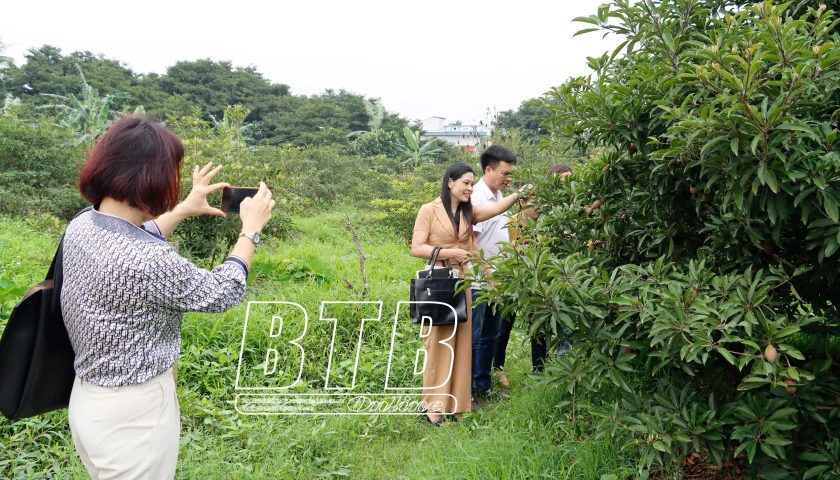 Phát triển nông nghiệp gắn với du lịch nông thôn