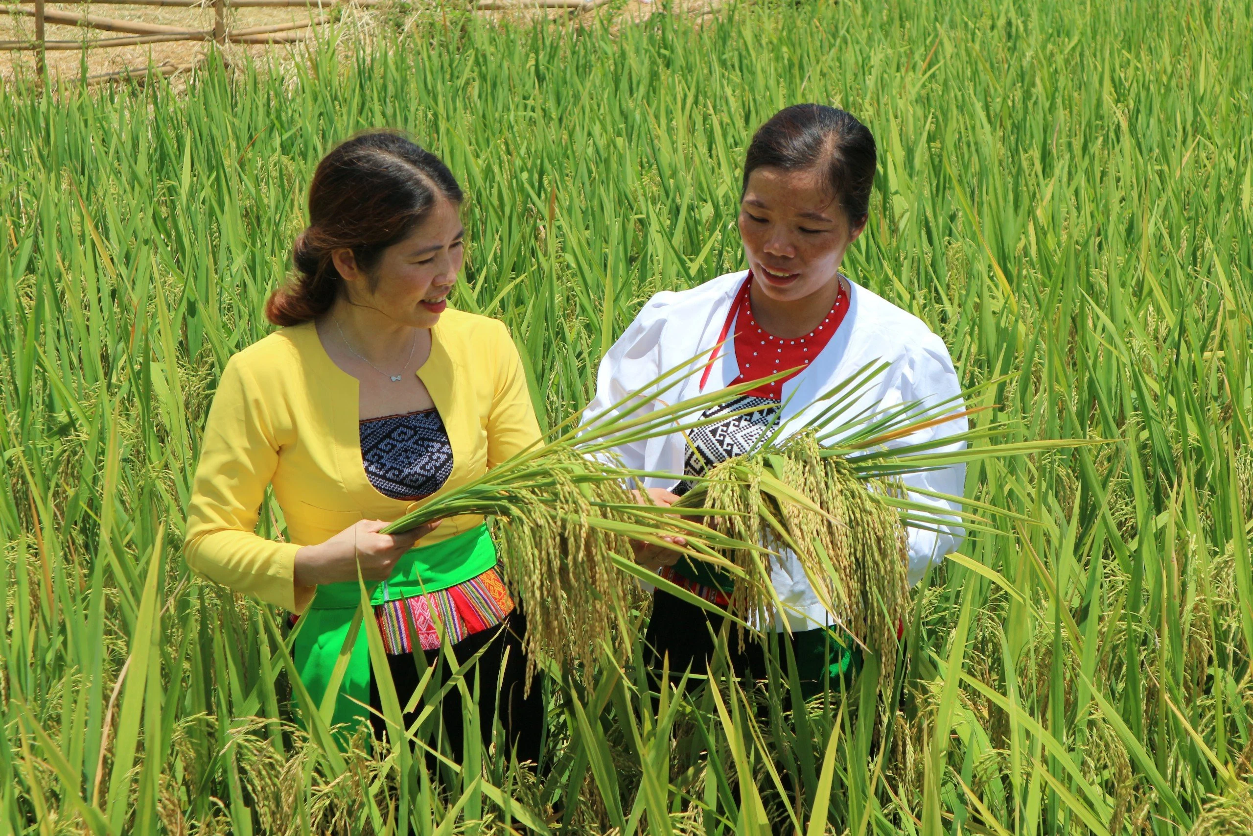 Kỳ 2: Nghĩa tình trên quê mới