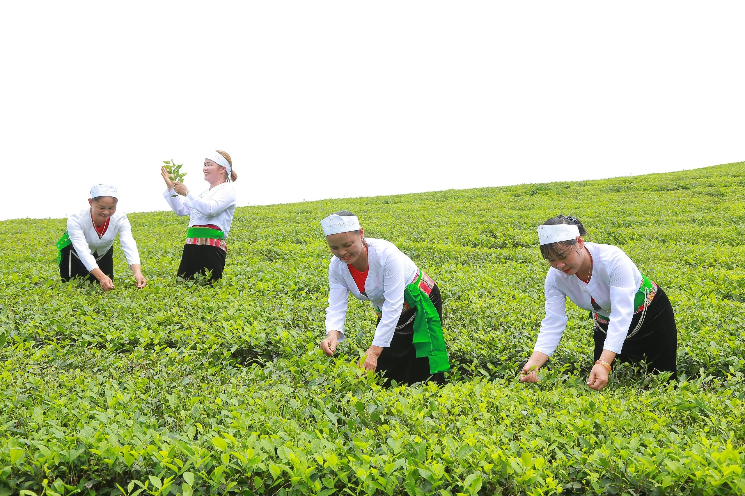“Đất lạ hóa quê hương”