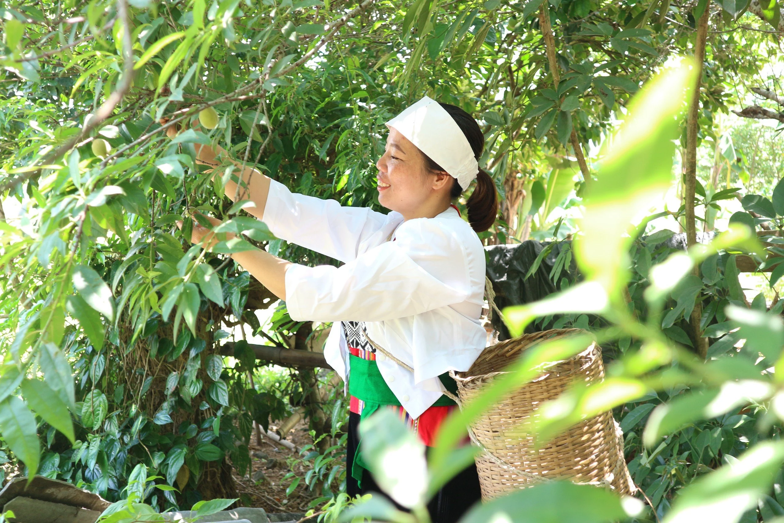Kỳ 3: “Trái ngọt” từ đất “khai hoang”