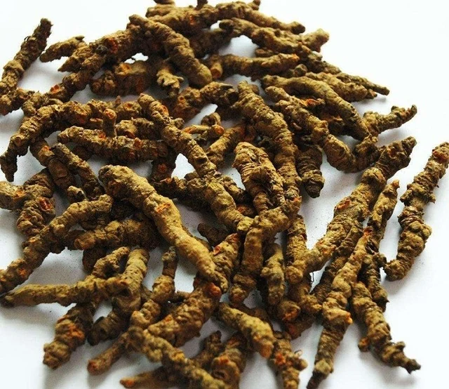 5 vị thuốc giải độc cơ thể mùa nóng