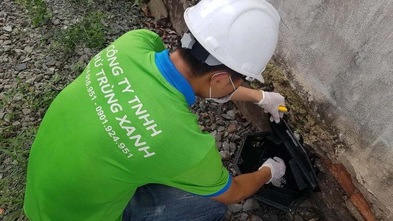 Diệt mối bằng cồn có hết không? Đâu là địa chỉ diệt mối tại TPHCM uy tín?