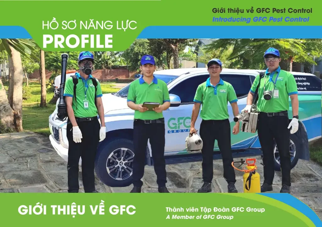 Diệt mối bằng cồn có hết không? Đâu là địa chỉ diệt mối tại TPHCM uy tín?