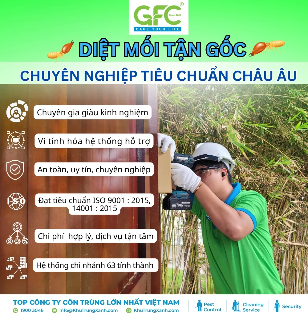 Diệt mối bằng cồn có hết không? Đâu là địa chỉ diệt mối tại TPHCM uy tín?