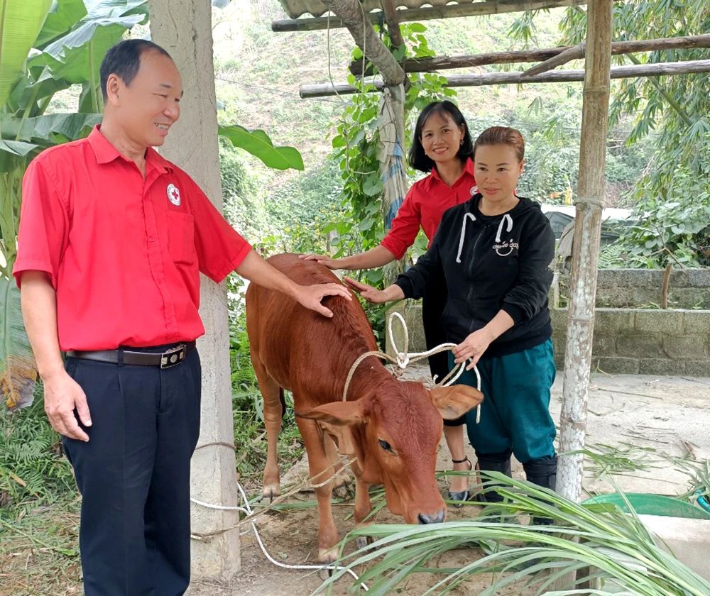 Nâng cao chất lượng dân số