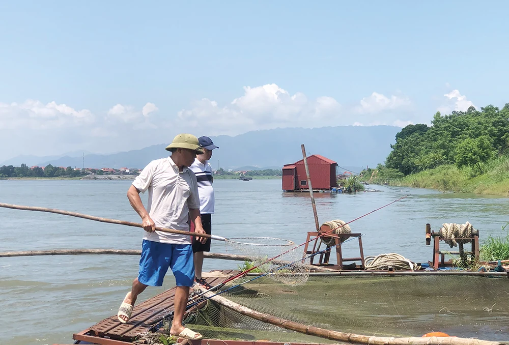 Săn cá dữ trên sông