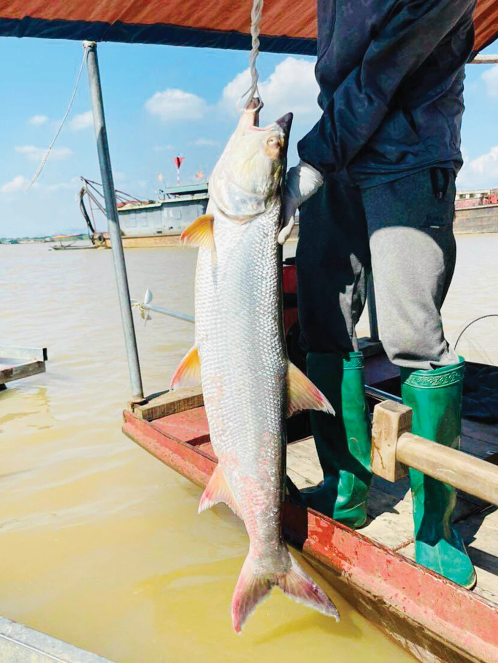 Săn cá dữ trên sông