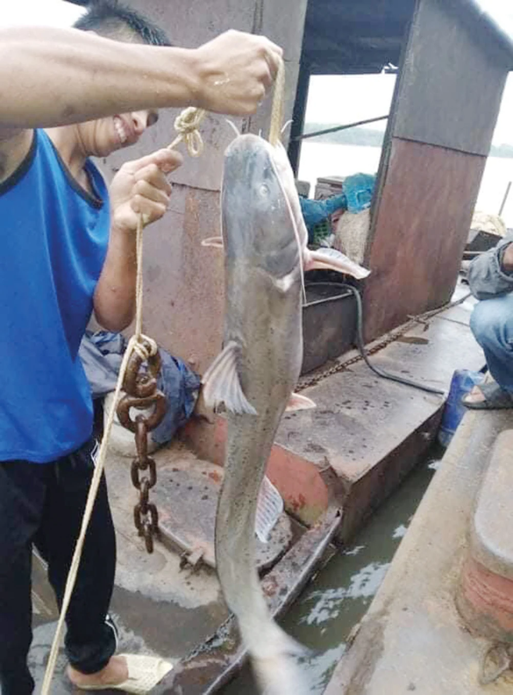 Săn cá dữ trên sông