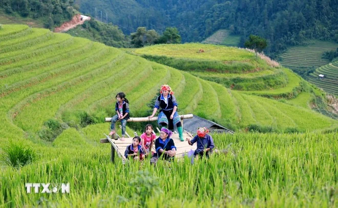 Mù Cang Chải lọt tốp 25 điểm đến mang vẻ đẹp siêu thực đáng kinh ngạc