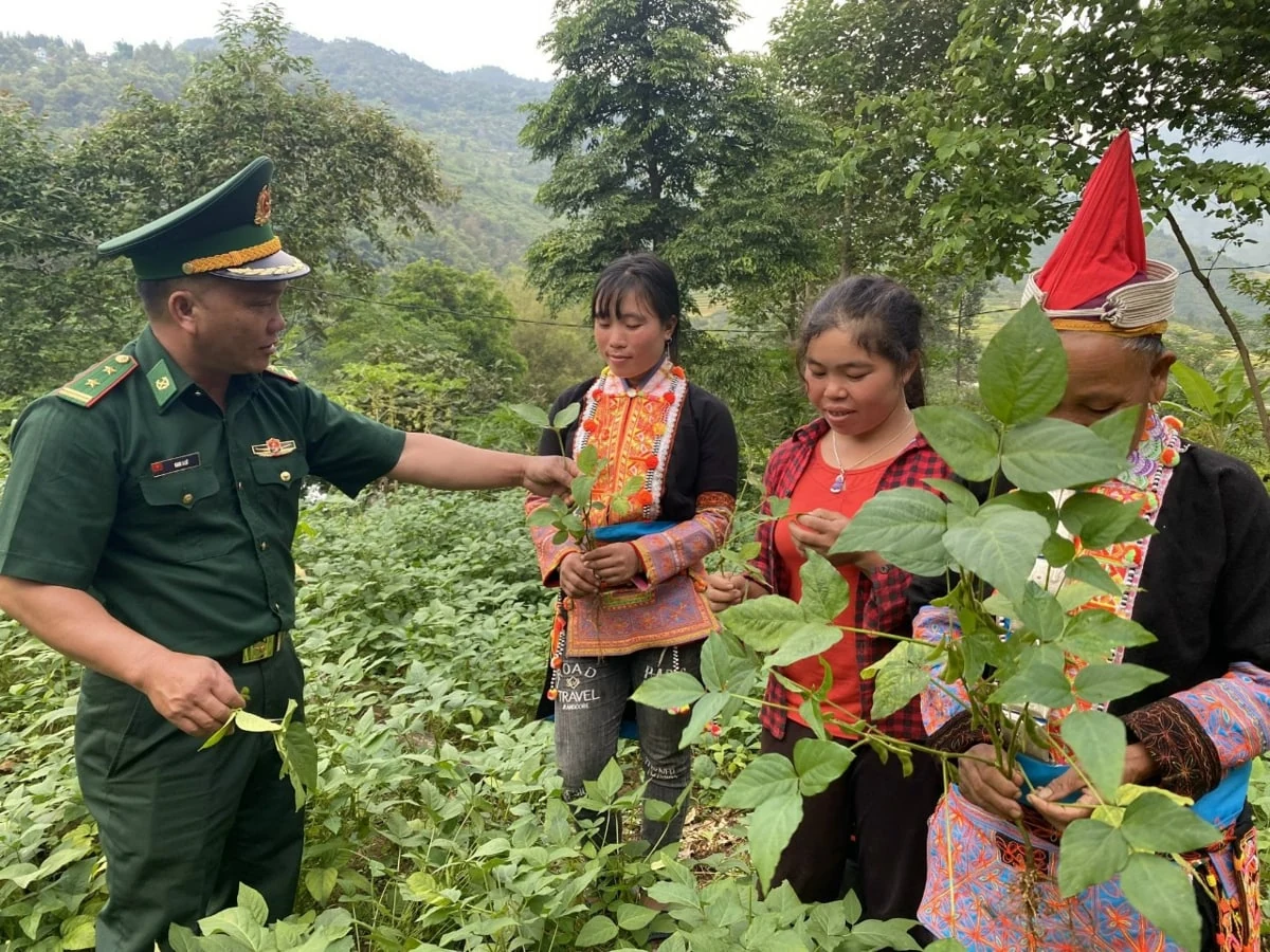 Vững vàng nơi biên cương