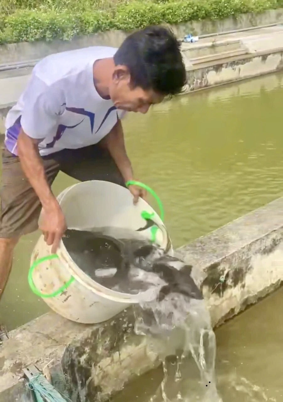 Đổi thay ở trên đất chiến khu xưa