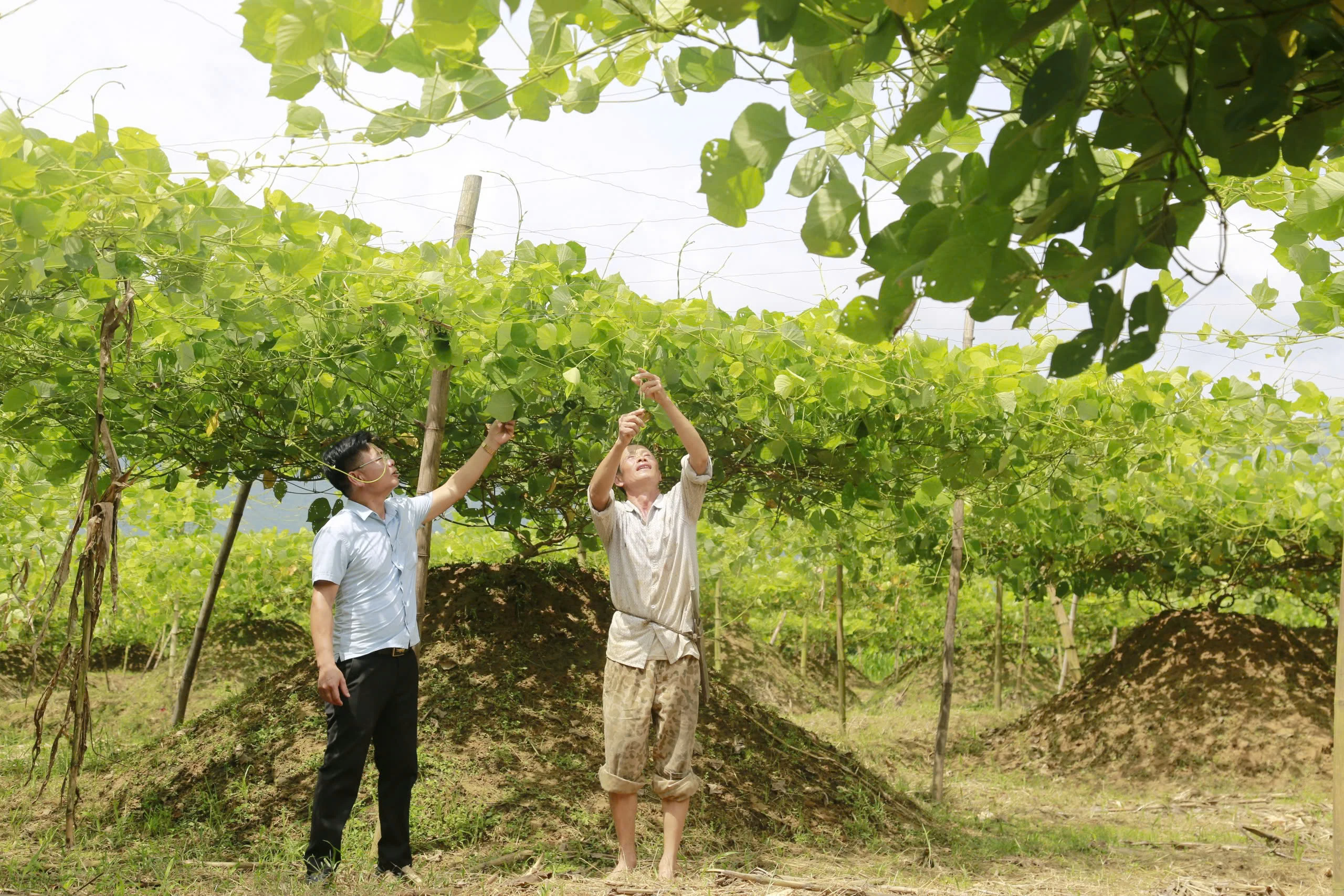 Focus on developing OCOP products associated with community tourism.