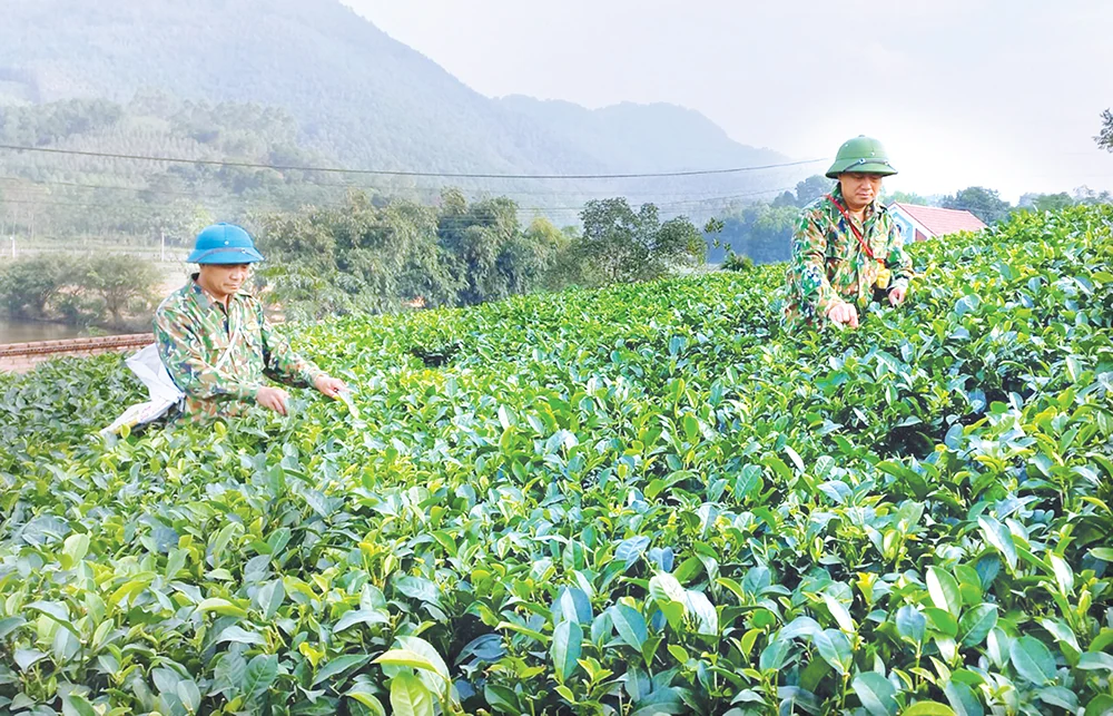 Kỳ II: Phát triển nông nghiệp bền vững