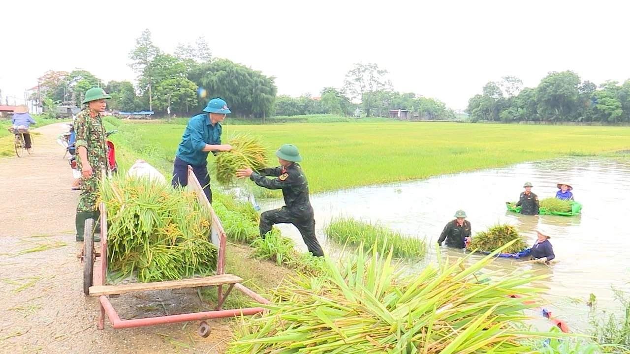 Điển hình Phong trào thi đua Quyết thắng