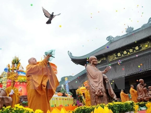 Đạo pháp và luật pháp!