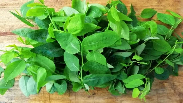 Rau ngót tốt và không tốt cho những ai?