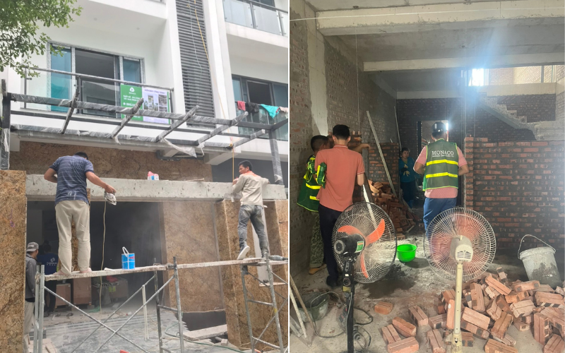 Top 3 cách chống mối khi xây nhà nhanh chóng và an toàn