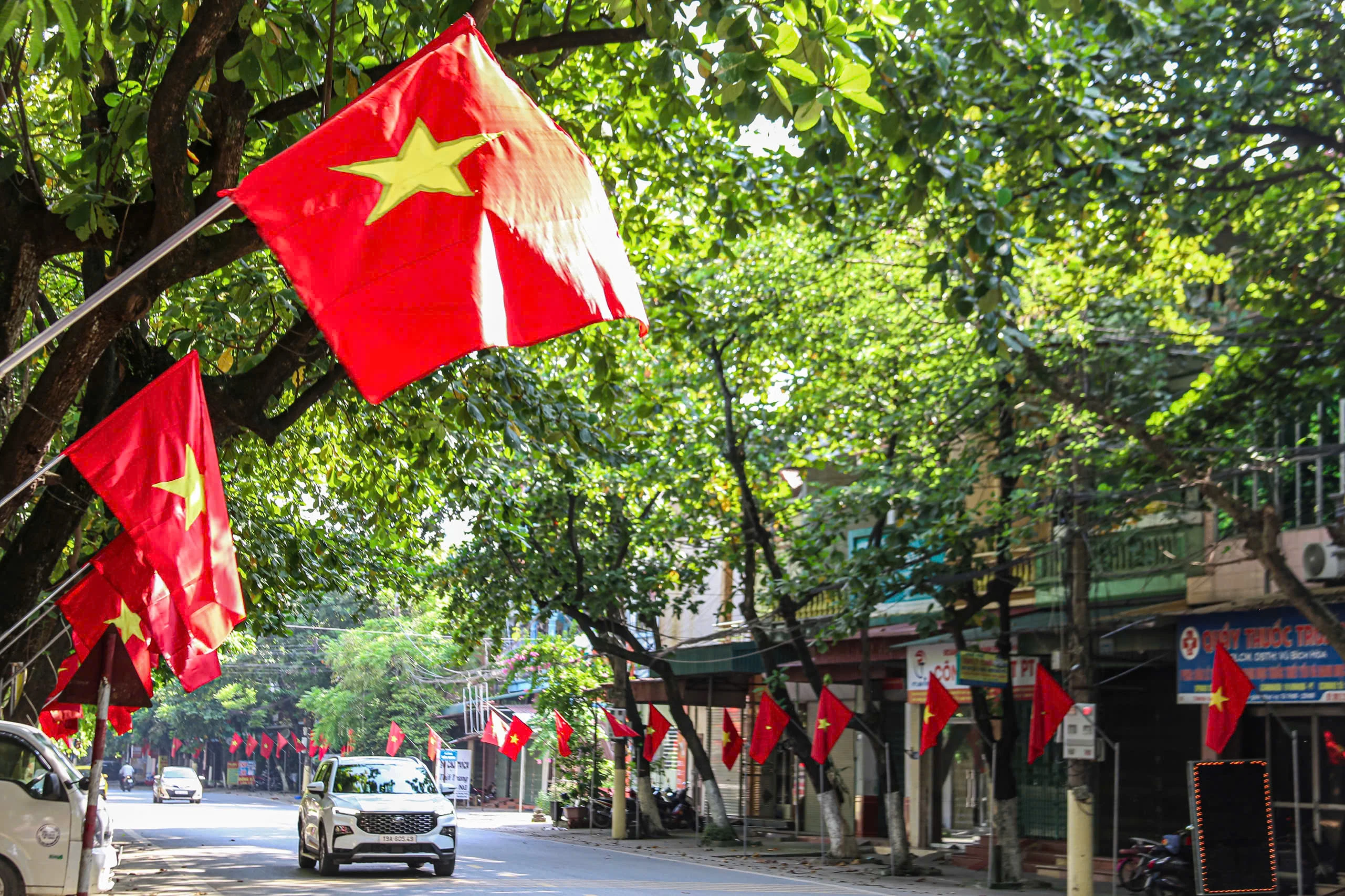 Brilliant flags to celebrate Independence Day