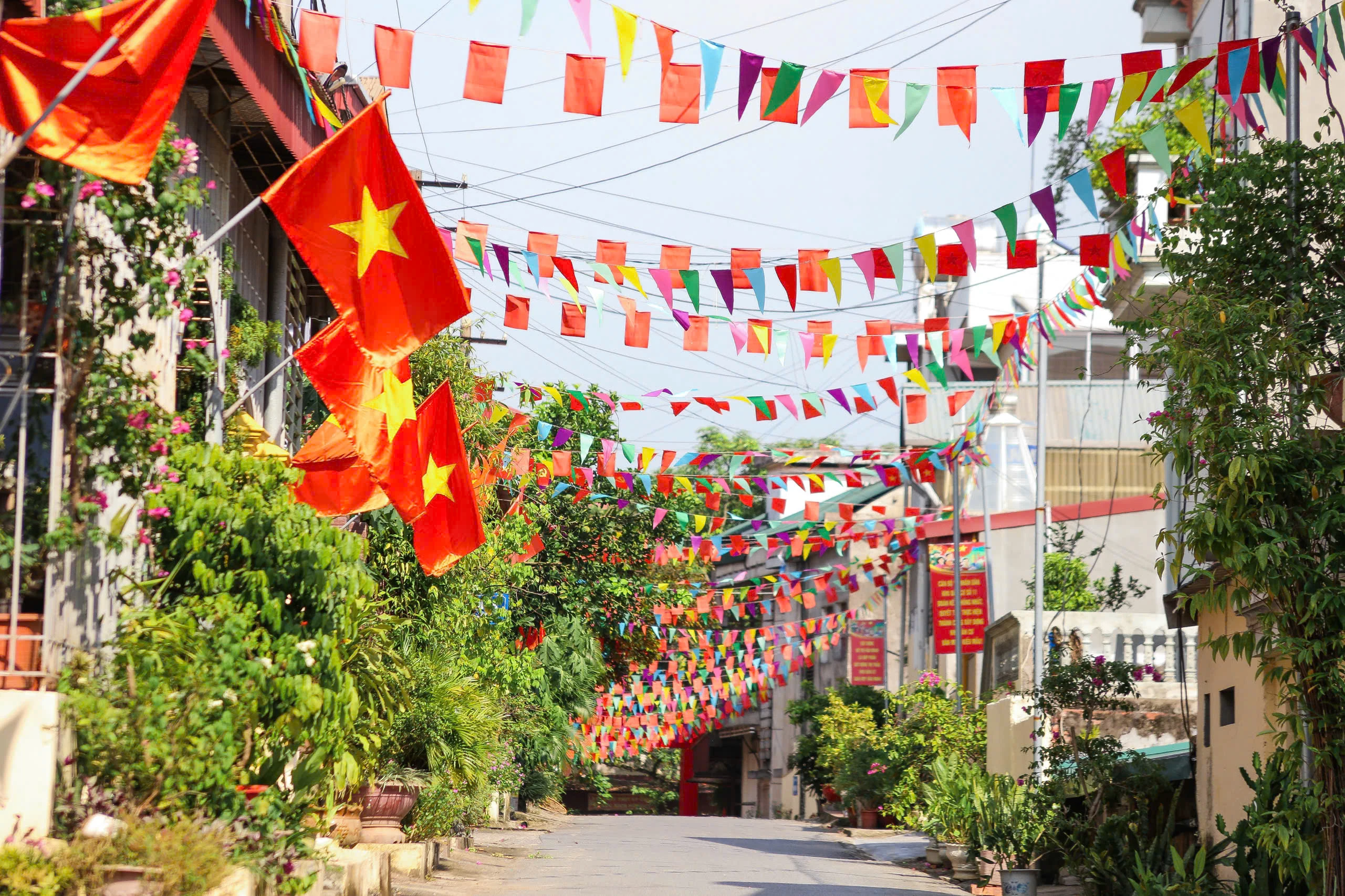 Brilliant flags to celebrate Independence Day