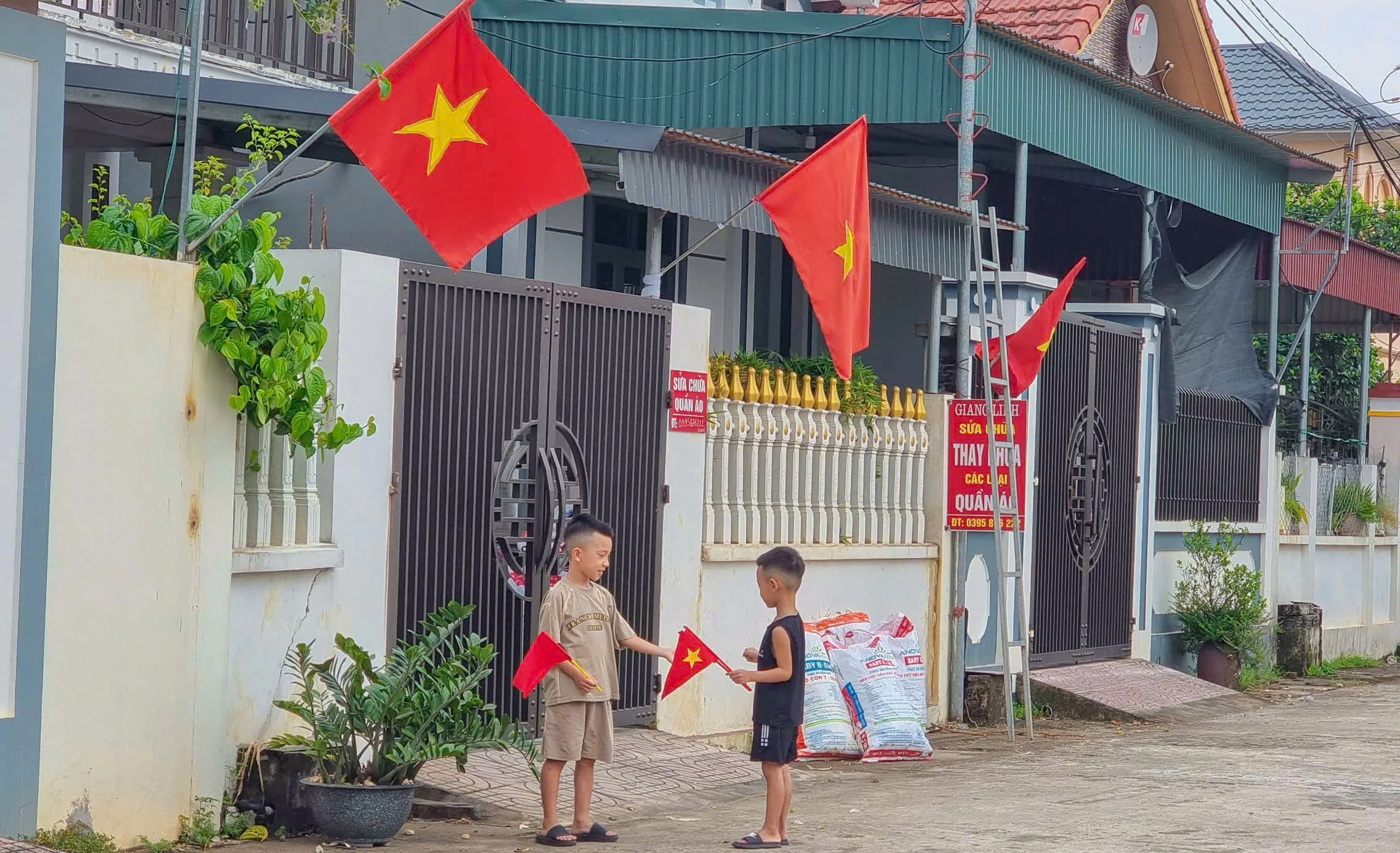 Brilliant flags to celebrate Independence Day