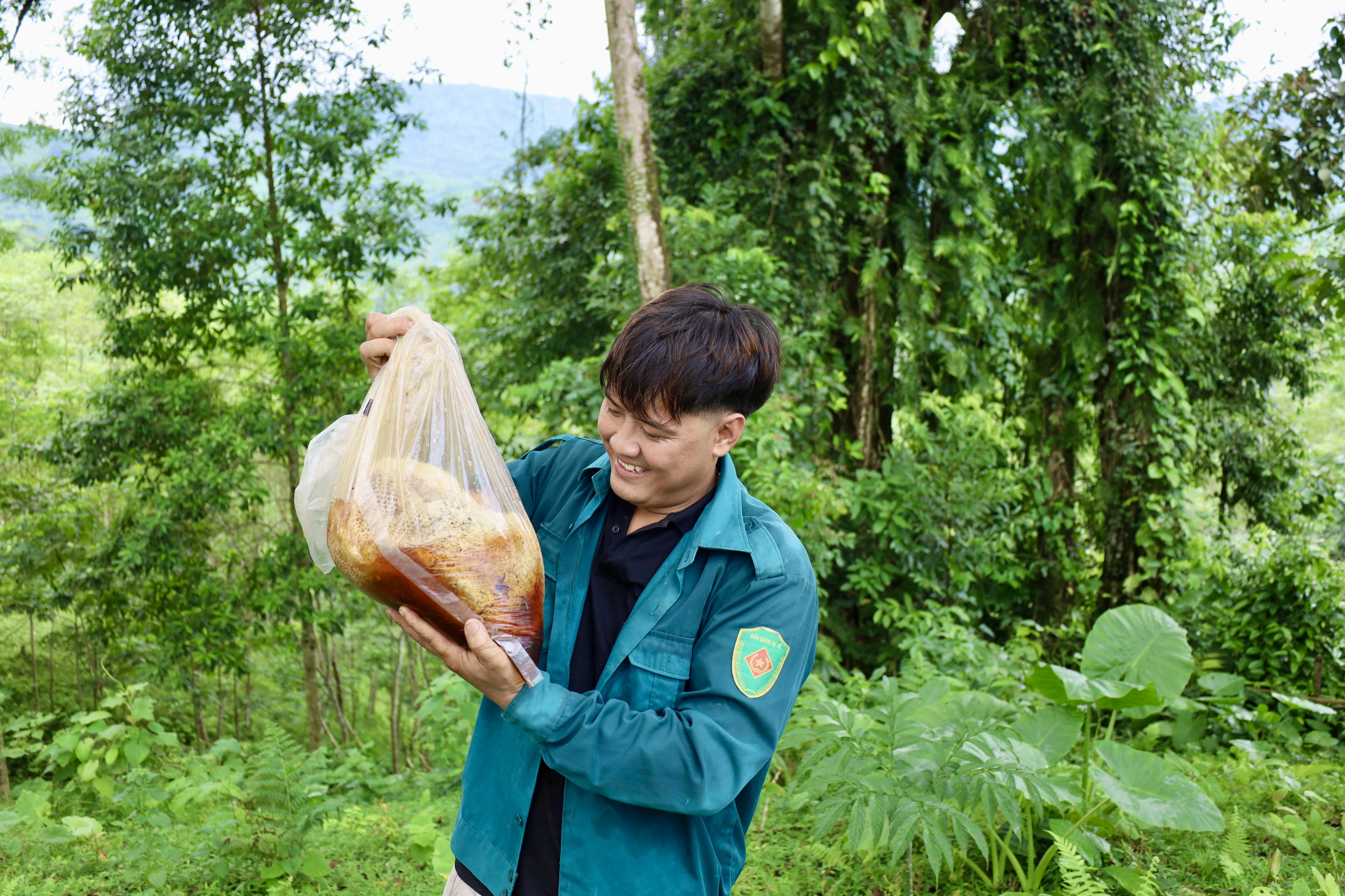 Săn mật ong rừng