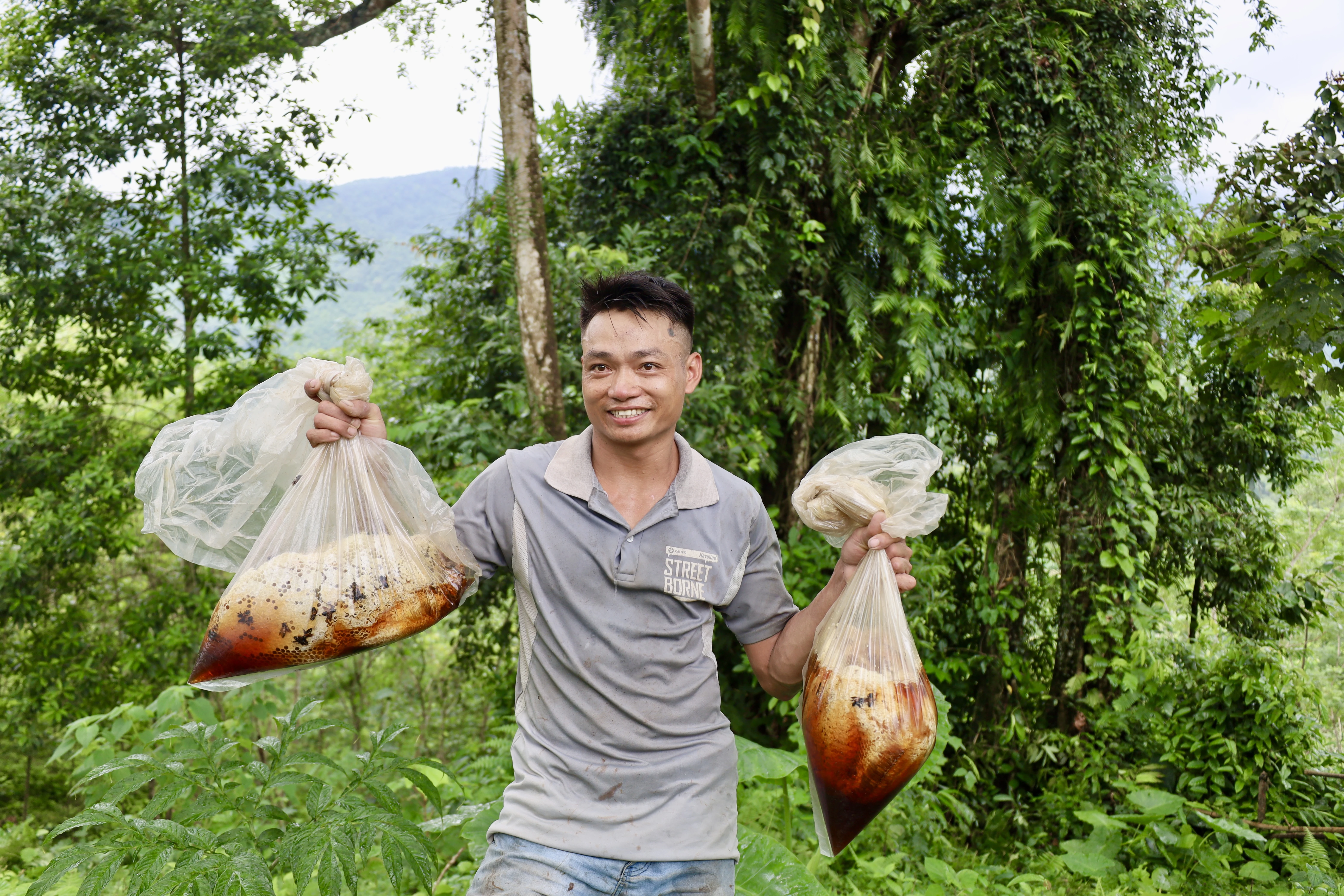 Săn mật ong rừng
