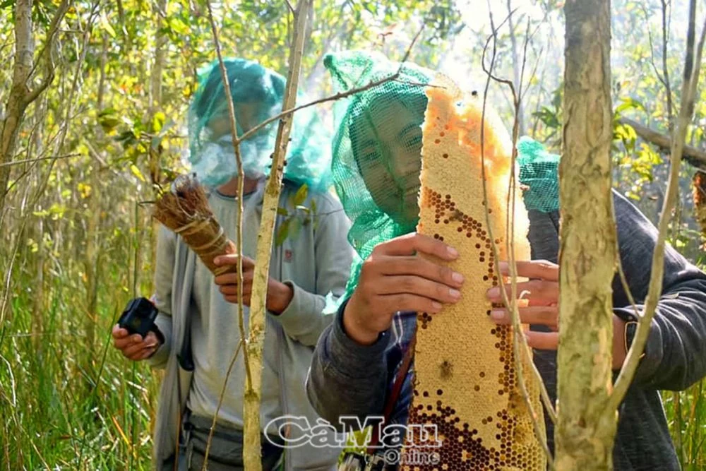 Du lịch trải nghiệm vùng quê dân dã