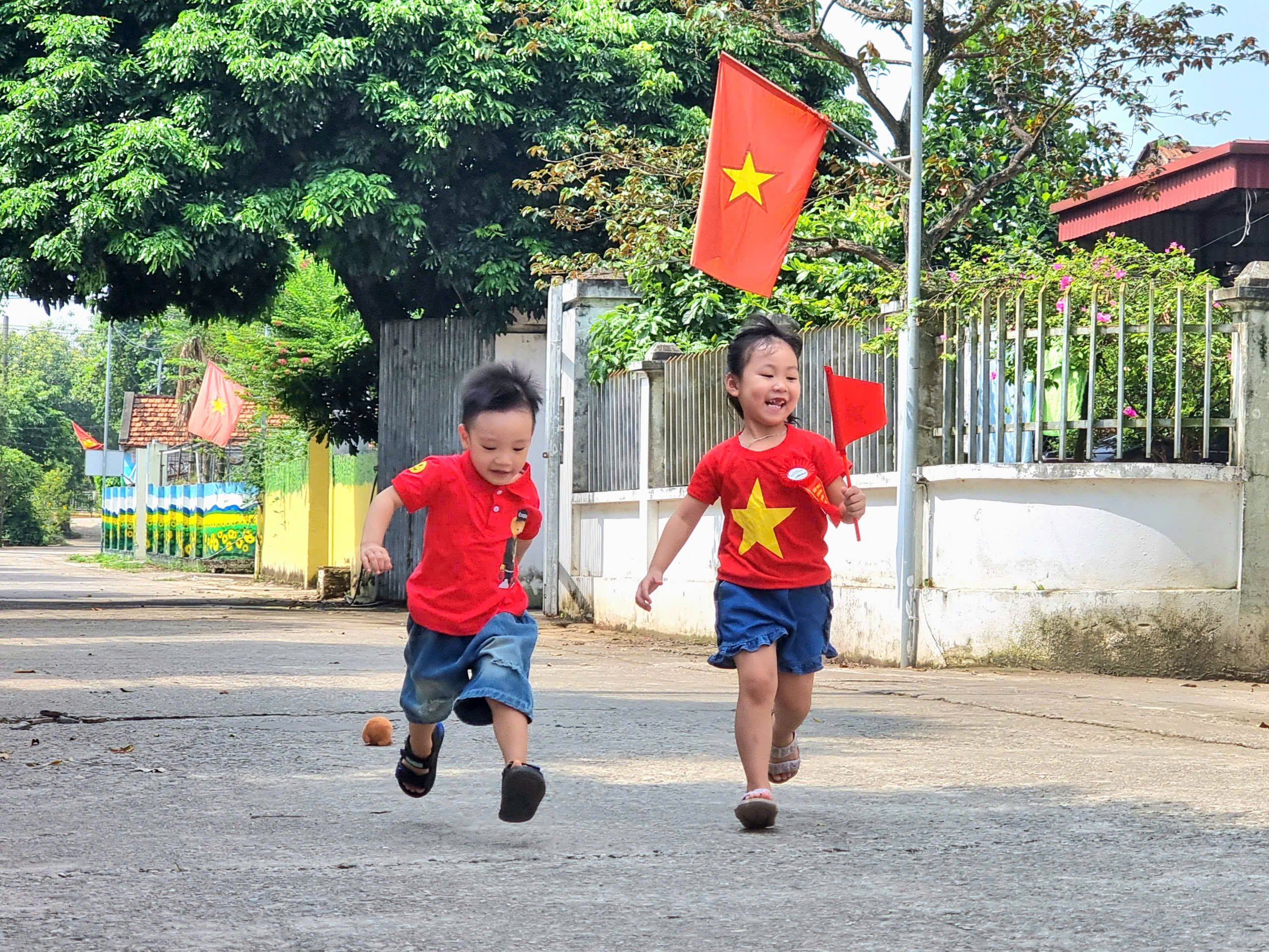 Brilliant flags to celebrate Independence Day