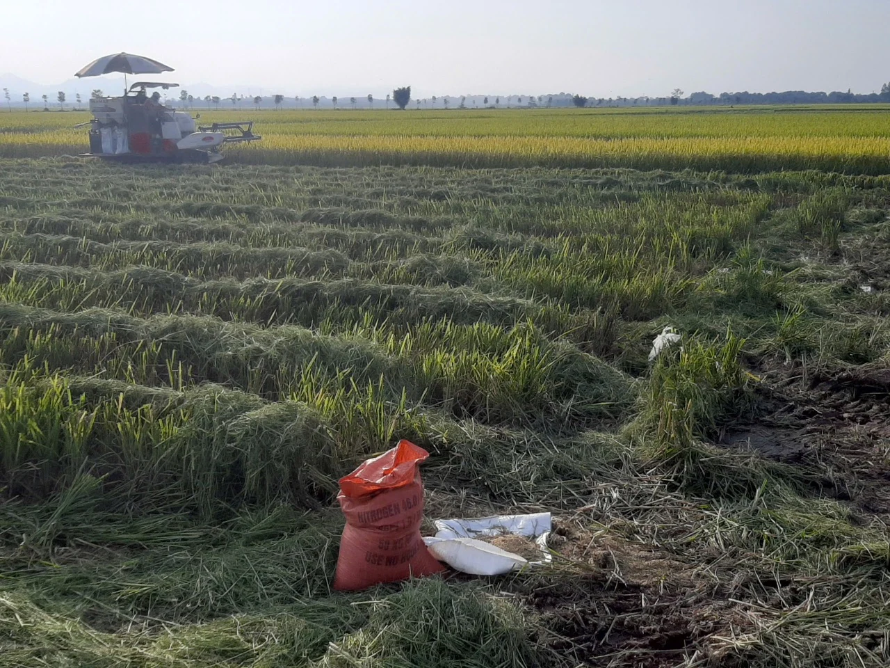 Kịp thời chỉ đạo sản xuất ứng phó với cơn bão số 3
