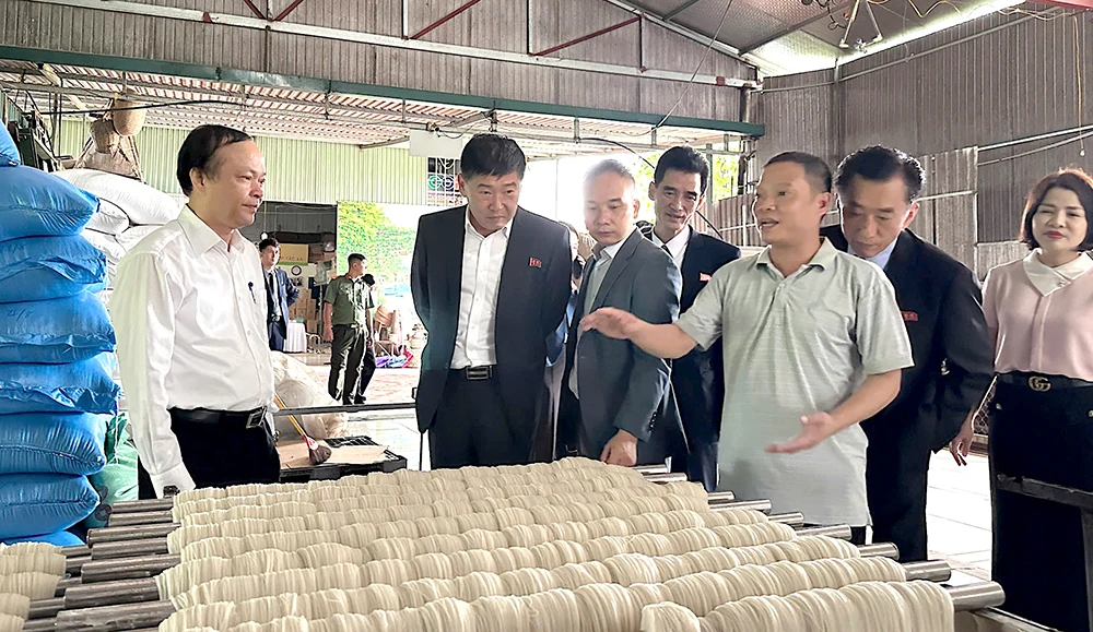 Phú Thọ tiếp và làm việc với đoàn công tác Bộ Ngoại giao Triều Tiên