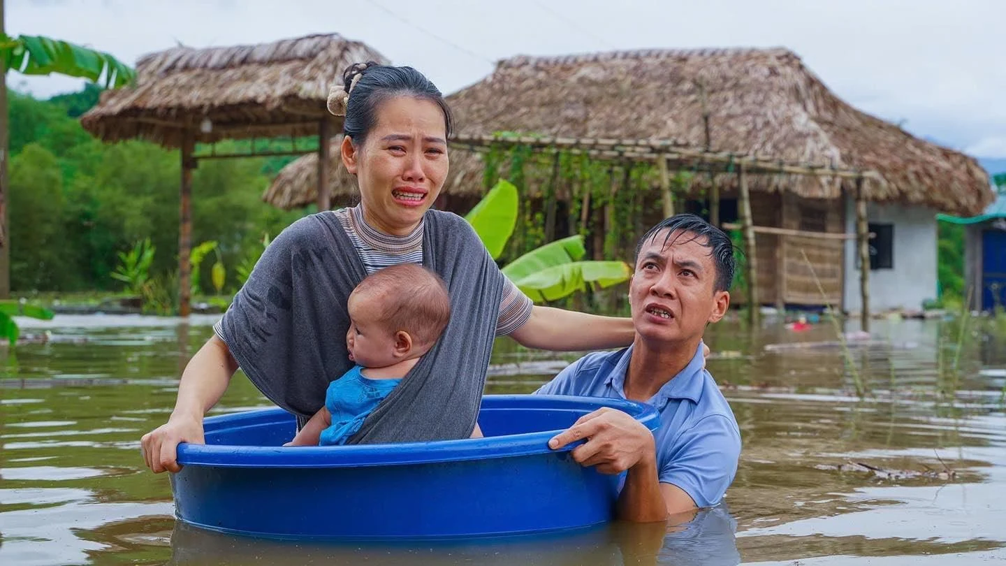Cú lừa giữa tang thương