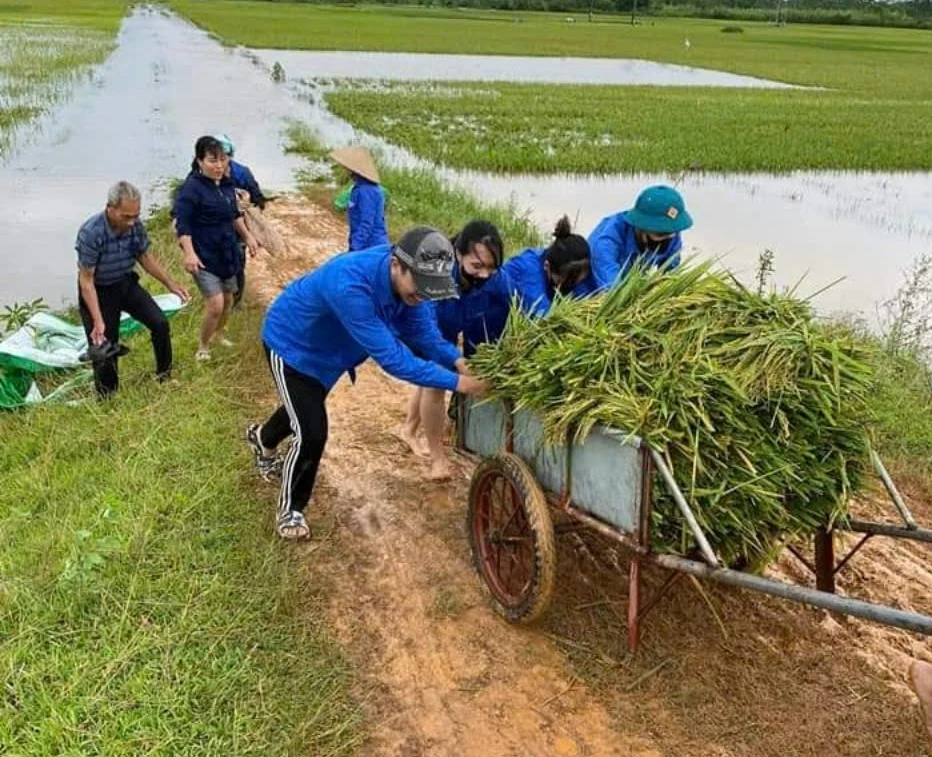 Sức mạnh chiến thắng thiên tai