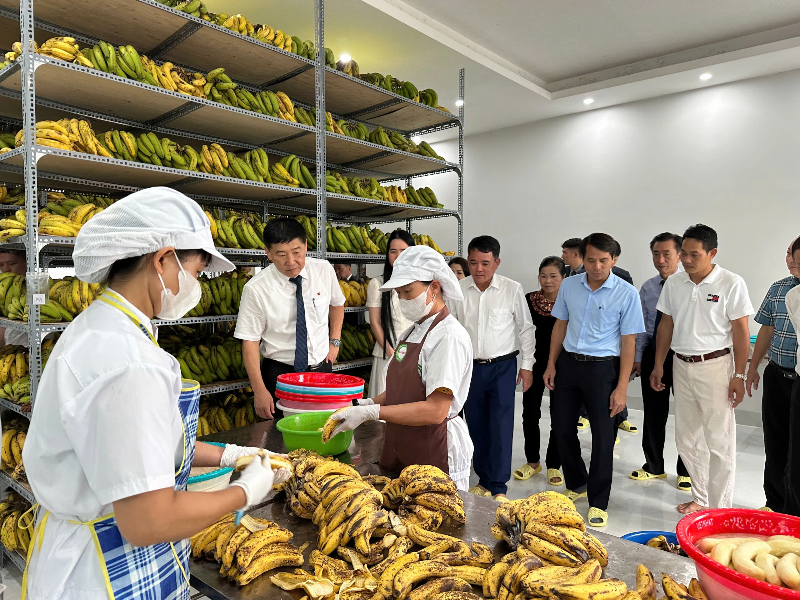 Nỗ lực giải quyết việc làm cho lao động nông thôn
