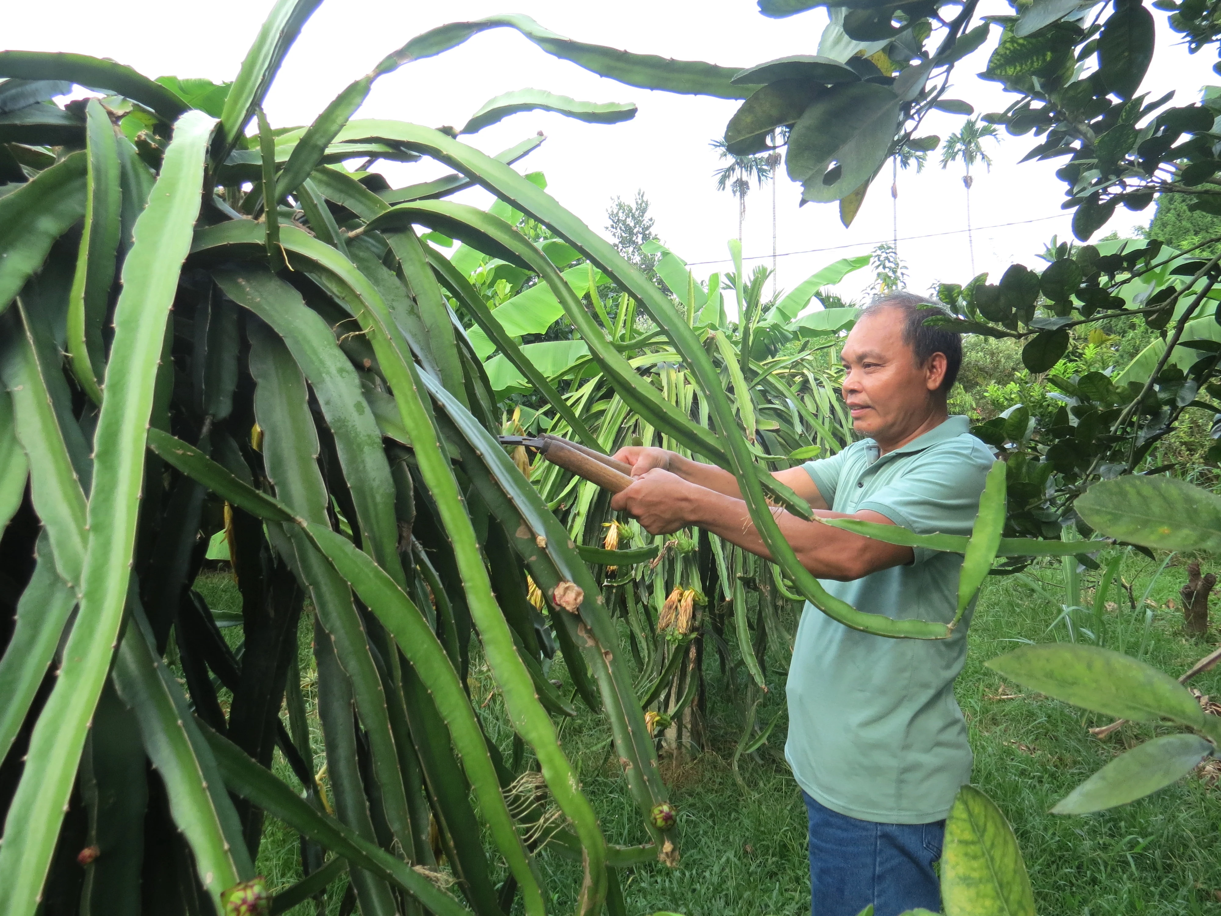 Cam Khe promotes labor export