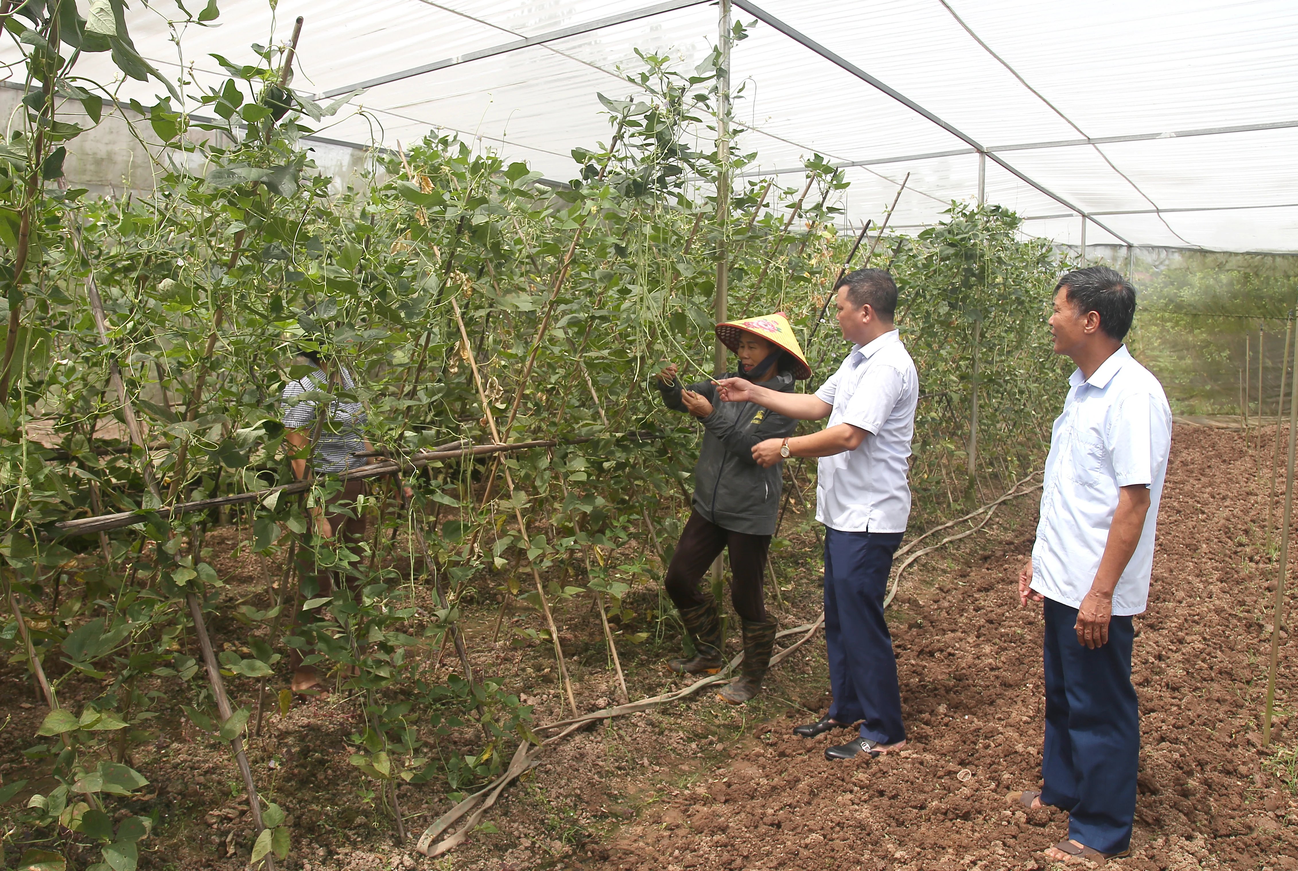 Sắp xếp đơn vị hành chính cấp xã: Tạo đồng thuận để phát triển