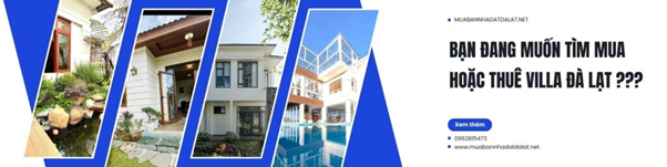 Theo dõi biến động nhà đất Đà Lạt dễ dàng trên muabannhadatdalat.net