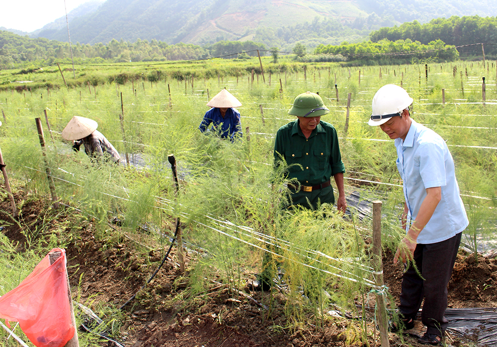 Phát huy phẩm chất “Bộ đội Cụ Hồ”, tạo sức lan tỏa mới trong Phong trào thi đua yêu nước “Cựu chiến binh gương mẫu”