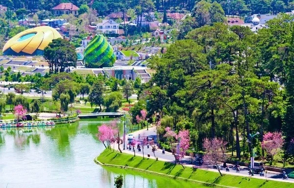 Top 4 resort “cực chill” ở khu vực Đà Lạt khiến du khách say đắm