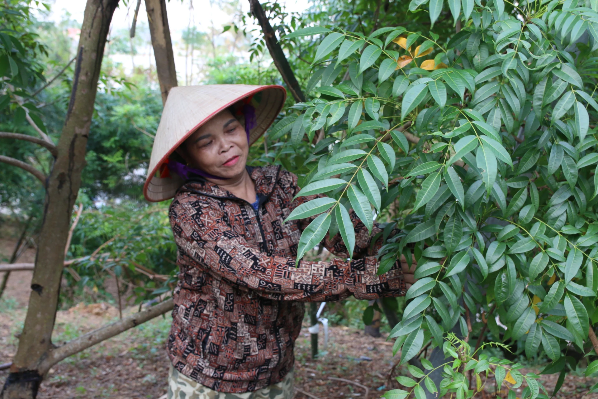 Tín dụng chính sách giúp người dân thoát nghèo